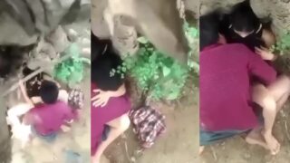 သစ်ပင်အောက်မှာခိုးစားချောင်းရိုက်