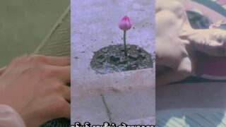 Sex And Zen MMSub (Chinese)